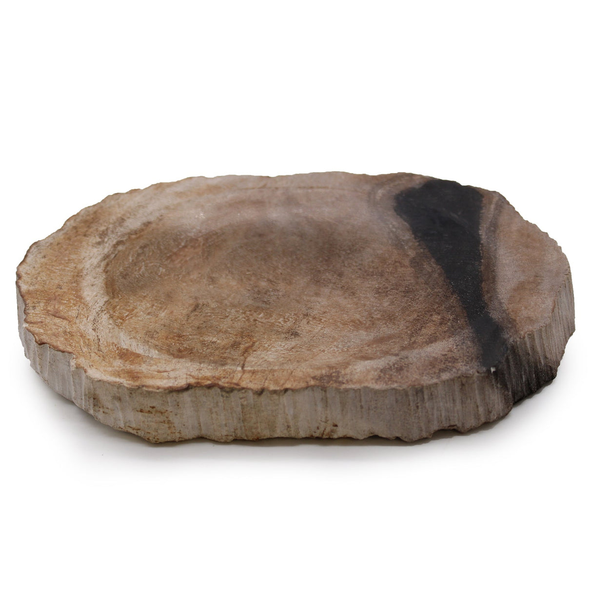 Petrified Wood Black Soap Dish - SHAMTAM.COM