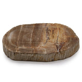 Petrified Wood Brown Soap Dish - SHAMTAM.COM