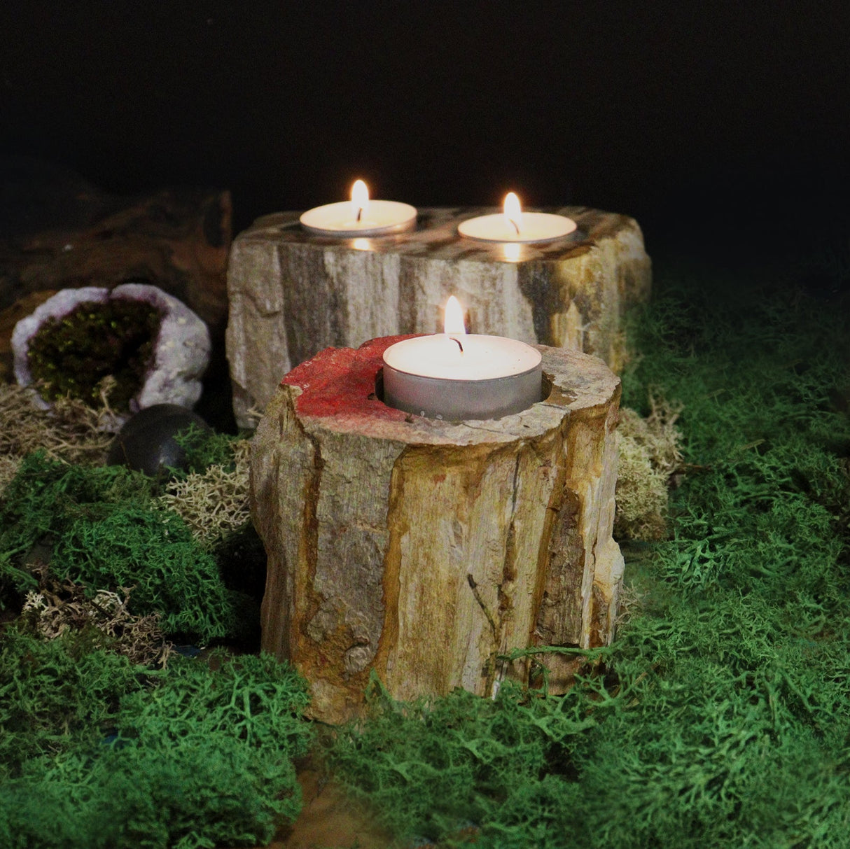 Petrified Wood Candle Holder - SHAMTAM.COM