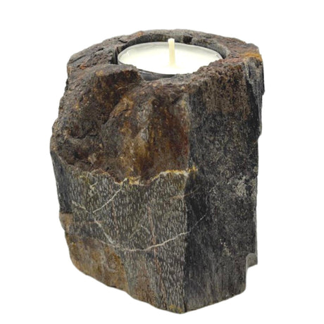 Petrified Wood Candle Holder - SHAMTAM.COM