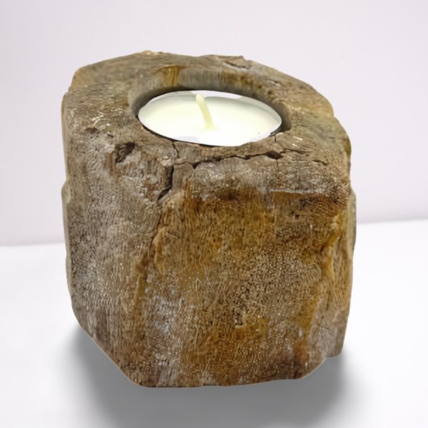 Petrified Wood Candle Holder - SHAMTAM.COM