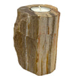 Petrified Wood Candle Holder - SHAMTAM.COM