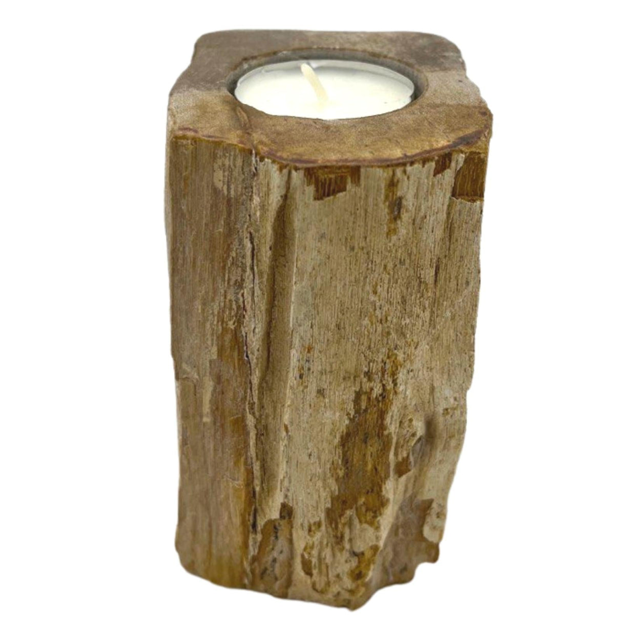 Petrified Wood Candle Holder - SHAMTAM.COM