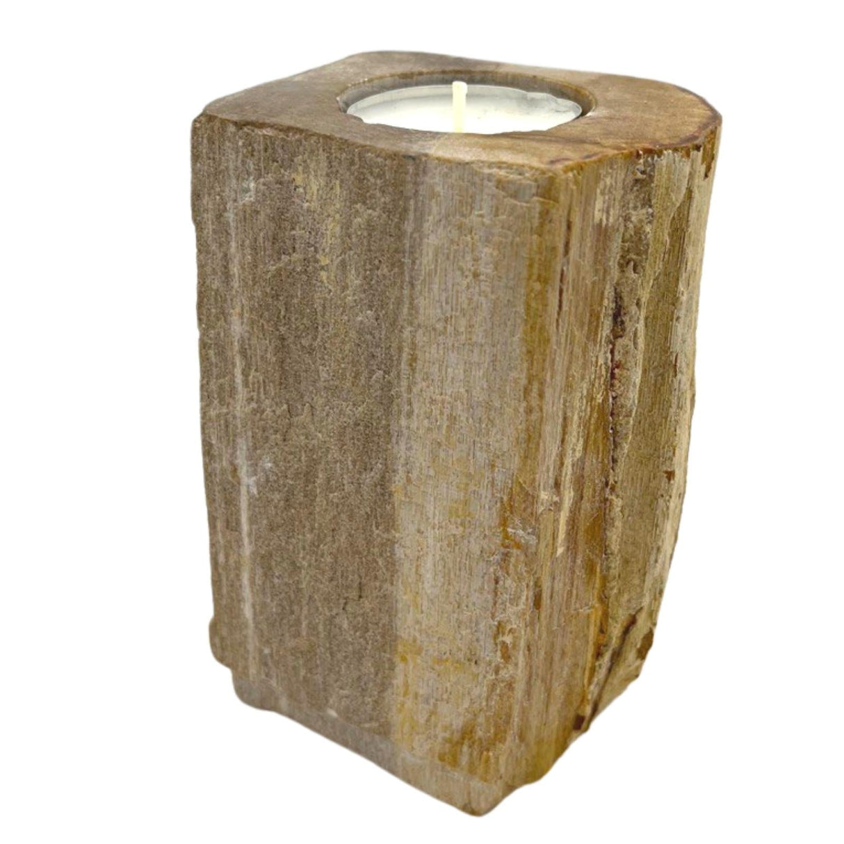 Petrified Wood Candle Holder - SHAMTAM.COM