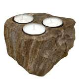 Petrified Wood Candle Holder - Triple - SHAMTAM.COM