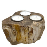 Petrified Wood Candle Holder - Triple - SHAMTAM.COM