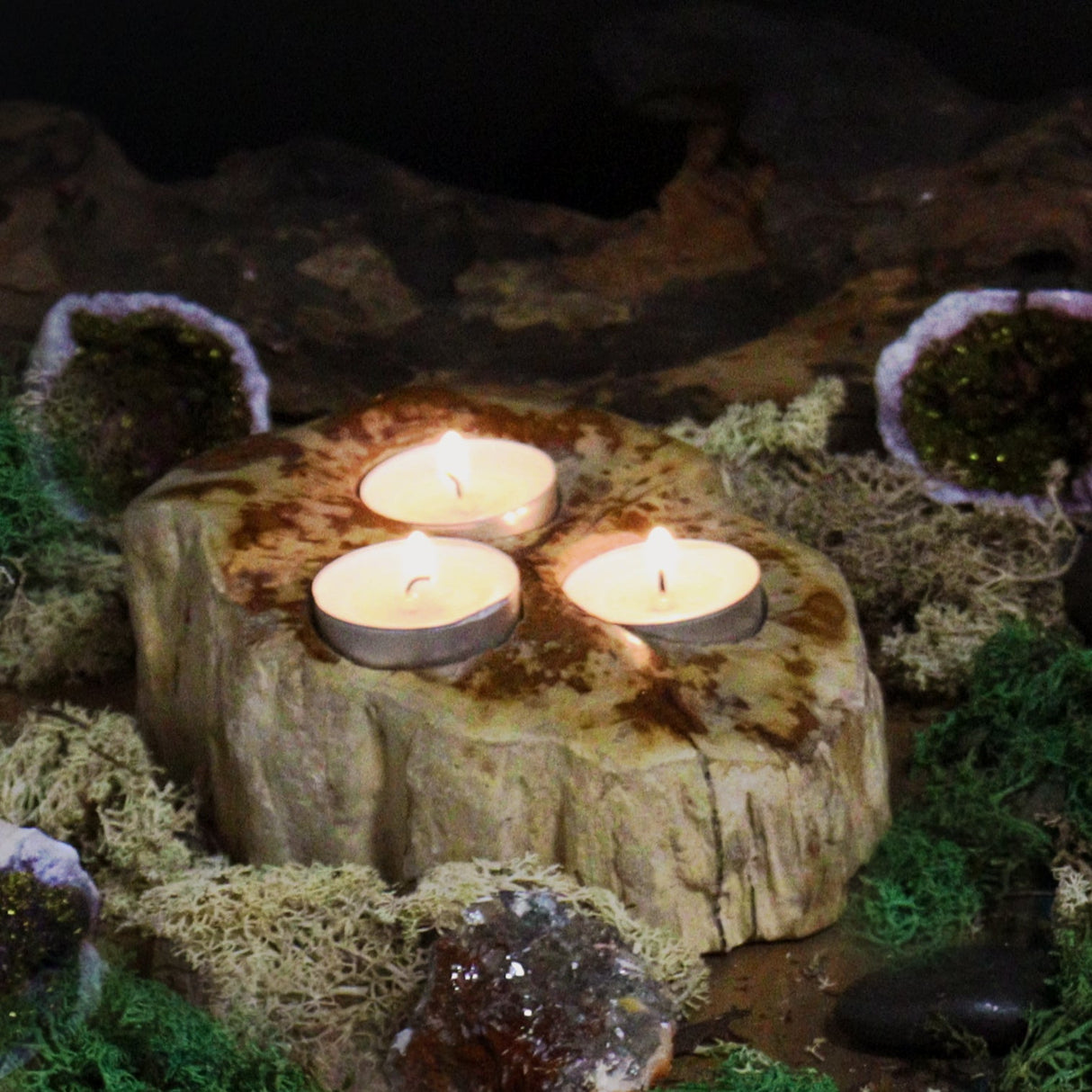 Petrified Wood Candle Holder - Triple - SHAMTAM.COM