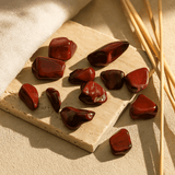 Petrified Wood Tumbled Stones Set of 24 - SHAMTAM.COM