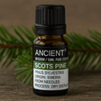 Scots Pine Essential Oil Pine Sylvestris 10 ml - SHAMTAM.COM