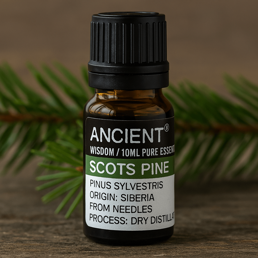 Scots Pine Essential Oil Pine Sylvestris 10 ml - SHAMTAM.COM