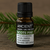 Scots Pine Essential Oil Pine Sylvestris 10 ml - SHAMTAM.COM