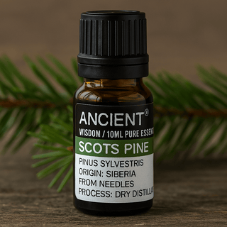 Pine Essential Oil Scots Pine 10 ml