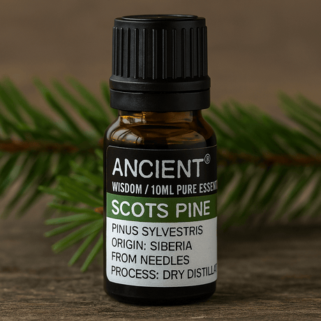 Scots Pine Essential Oil Pine Sylvestris 10 ml - SHAMTAM.COM