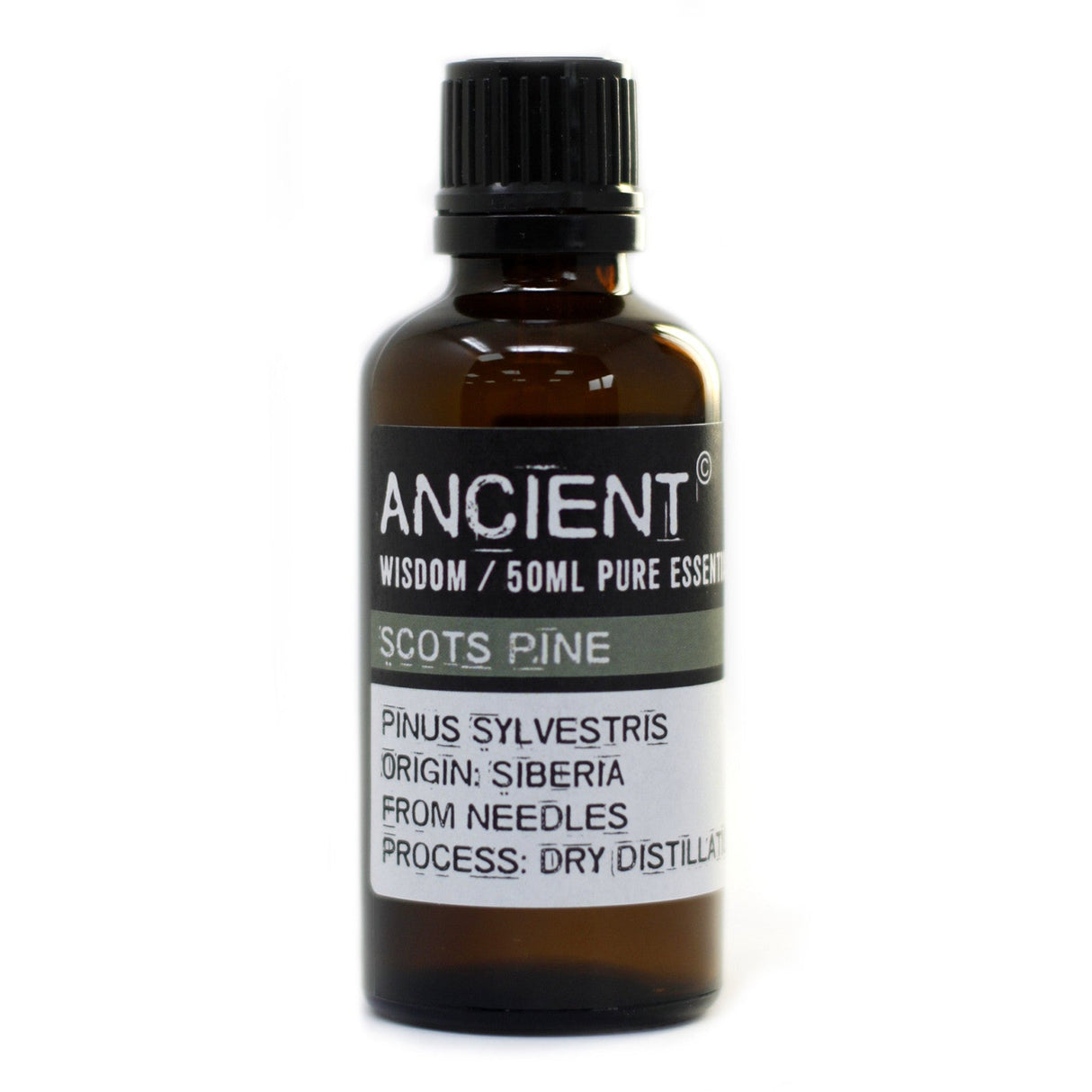 Scots Pine Essential Oil Pine Sylvestris 50ml - SHAMTAM.COM