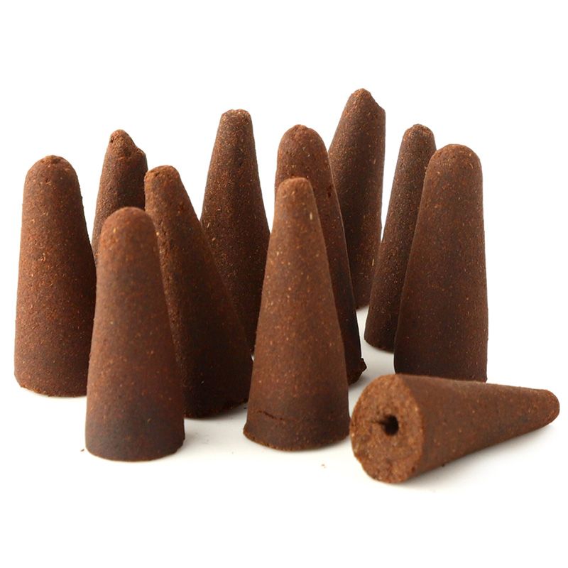 Aloe Vera Backflow Incense Cones - Plant Based - SHAMTAM.COM