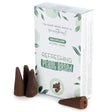 Refreshing Incense Cones Plant Based - SHAMTAM.COM