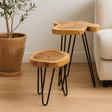 Plant Stands Set of 3 Gamal Wood Natural - SHAMTAM.COM