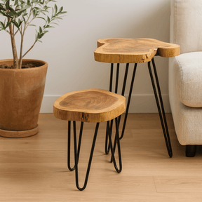 Plant Stands Set of 3 Gamal Wood Natural - SHAMTAM.COM