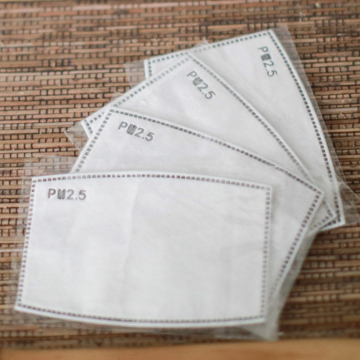 PM2.5 Face Mask Filter Insert (Adult) - SHAMTAM.COM