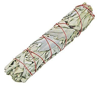 Premium White Sage Smudge Stick 22.5 cm - Mold - Free, High - Quality for Aura Cleansing and Stress Relief - SHAMTAM.COM