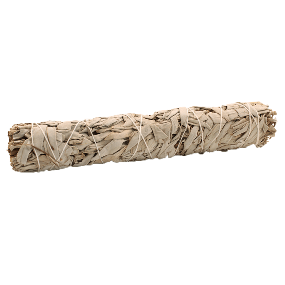 Premium White Sage Smudge Stick 22.5 cm - Mold - Free, High - Quality for Aura Cleansing and Stress Relief - SHAMTAM.COM