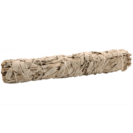 Premium White Sage Smudge Stick 22.5 cm - Mold - Free, High - Quality for Aura Cleansing and Stress Relief - SHAMTAM.COM