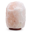 Himalayan Salt Lamp 24 - 25Kg - SHAMTAM.COM