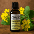 Rapeseed Base Oil - 50ml - SHAMTAM.COM