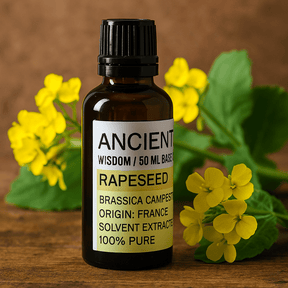 Rapeseed Base Oil - 50ml - SHAMTAM.COM