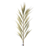 Rayung Grass Blond - 1.6m - SHAMTAM.COM