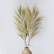 Rayung Grass Blond - 1.6m - SHAMTAM.COM