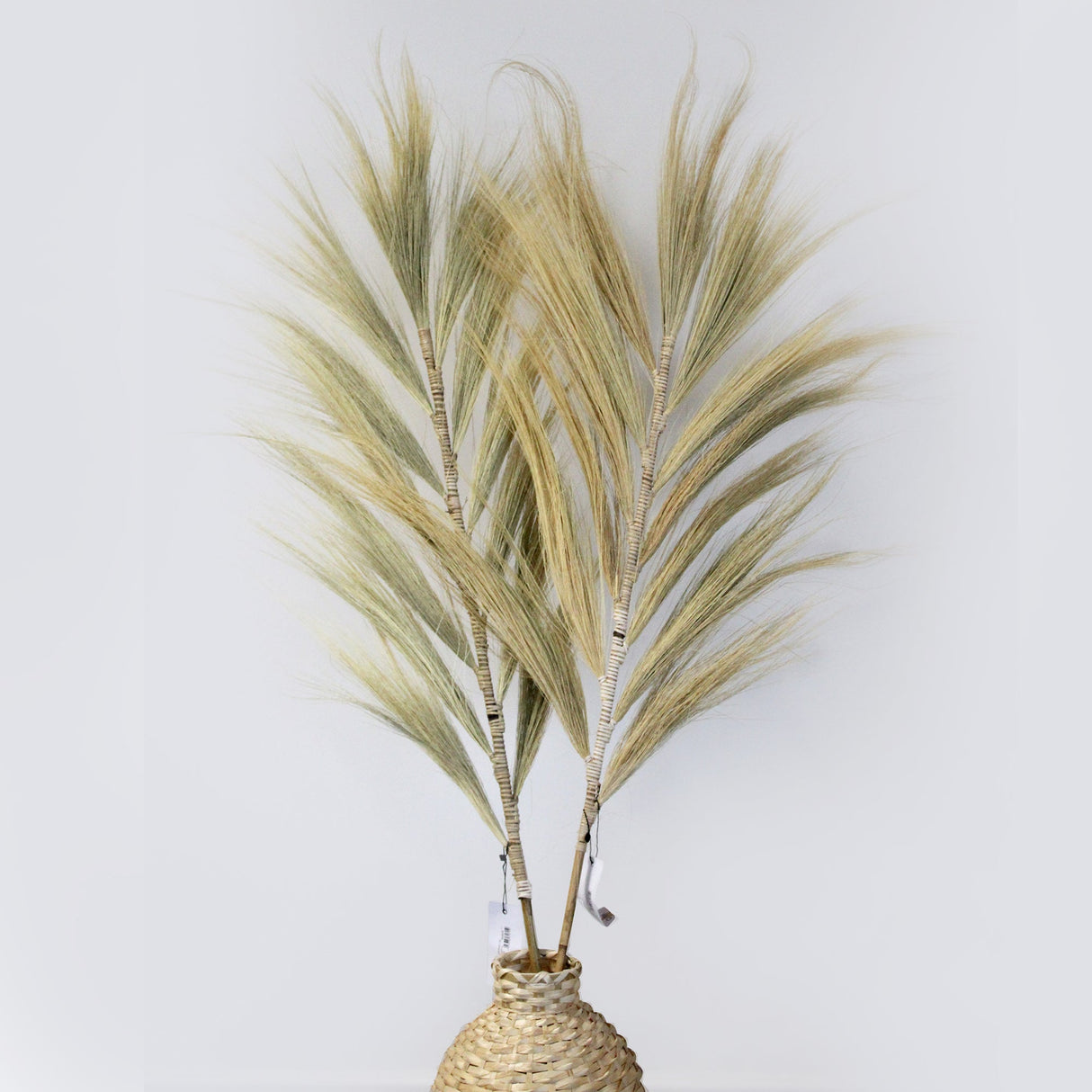 Rayung Grass Blond - 1.6m - SHAMTAM.COM