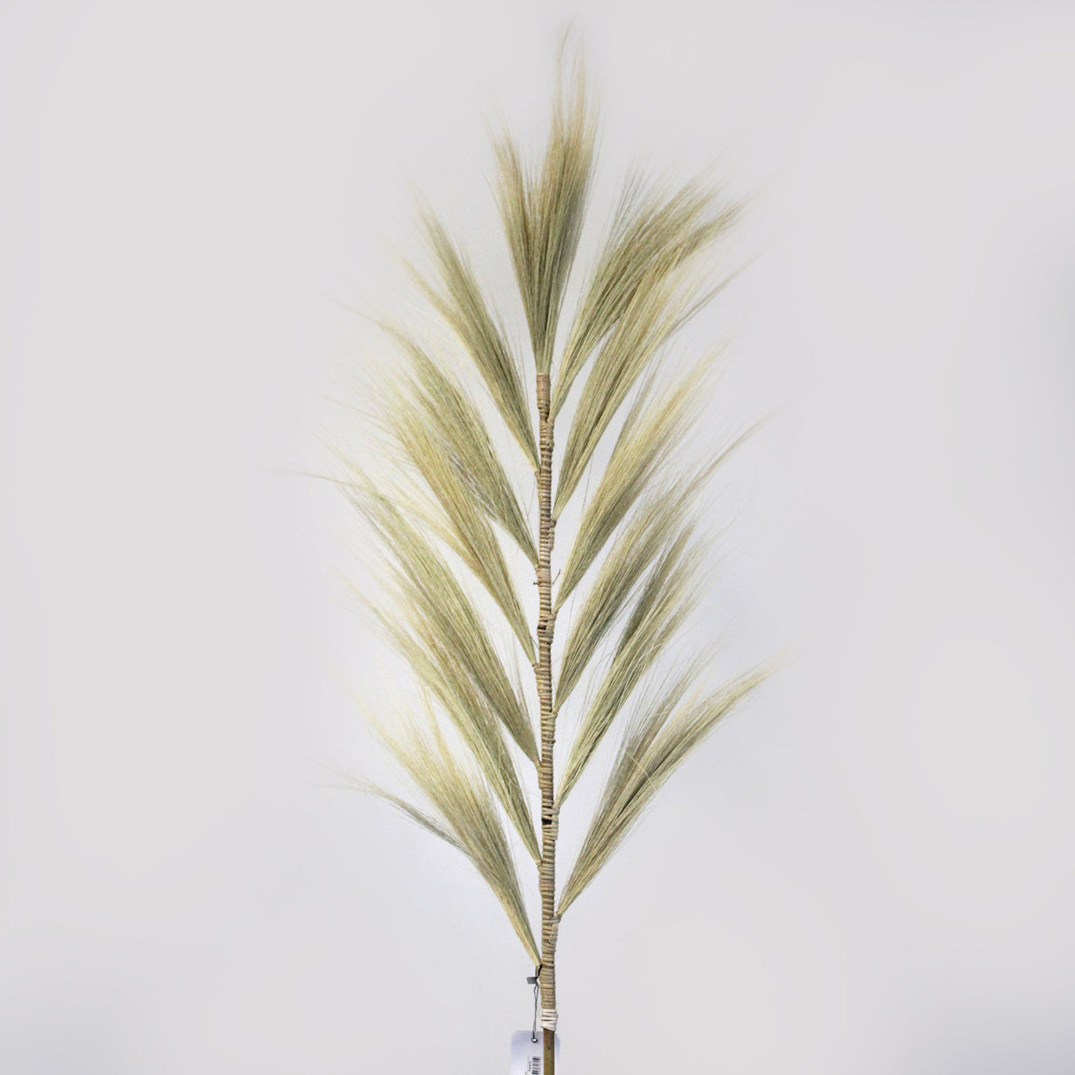 Rayung Grass Blond - 1.6m - SHAMTAM.COM