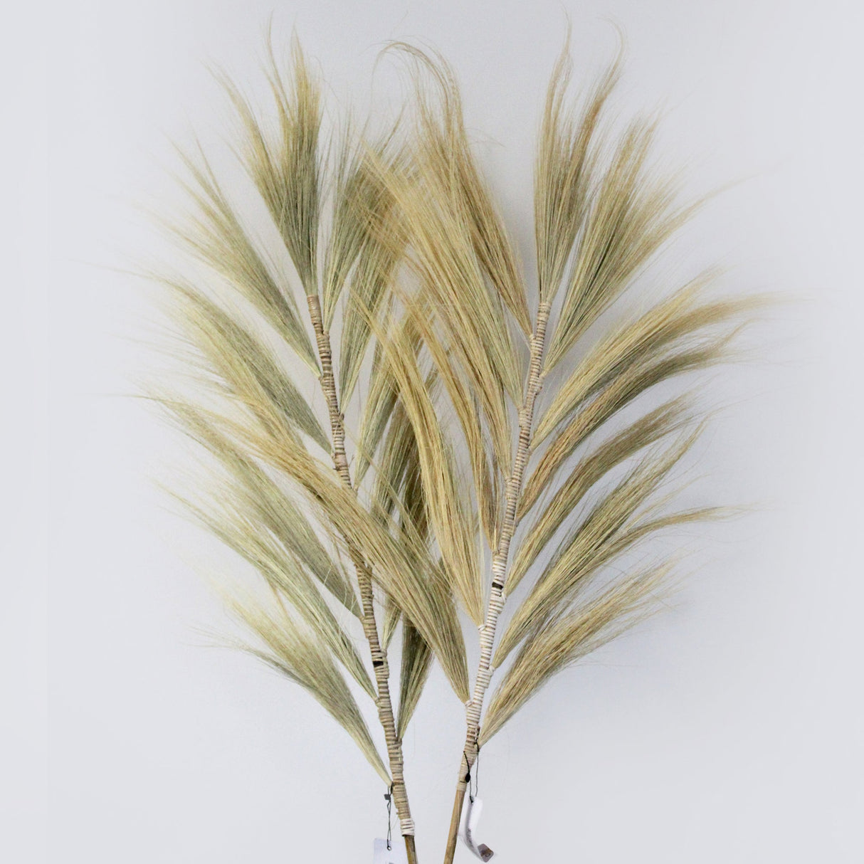 Rayung Grass Blond - 2m - SHAMTAM.COM