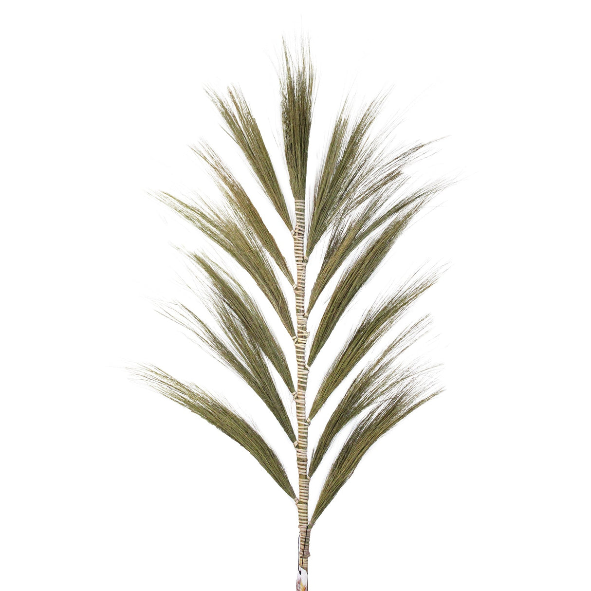 Rayung Grass Natural - 1.6m - SHAMTAM.COM