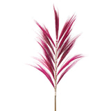 Rayung Grass Pink - 1.6m - SHAMTAM.COM