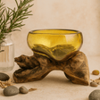 Recycled Molten Glass Bowl on Driftwood - SHAMTAM.COM