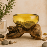 Recycled Molten Glass Bowl on Driftwood - SHAMTAM.COM