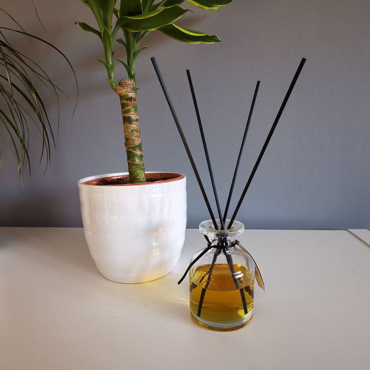 Black Reed Diffuser Sticks Fibre 25cm x 3mm - SHAMTAM.COM