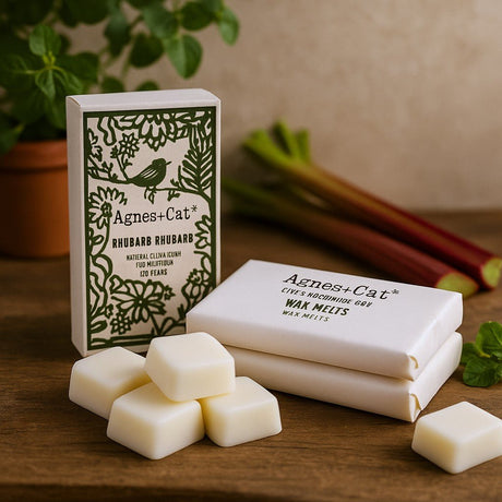 Rhubarb Soy Wax Melts, Box of 8 - SHAMTAM.COM