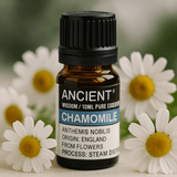 Roman Chamomile Essential Oil 10ml - SHAMTAM.COM