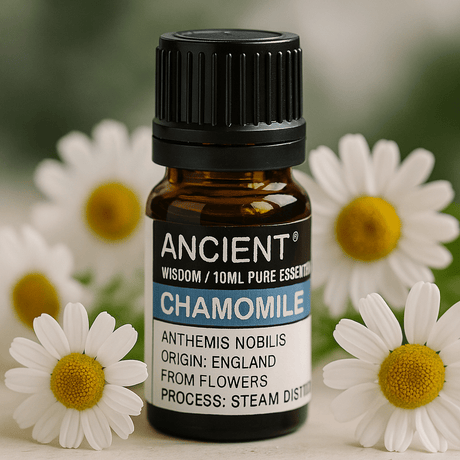 Roman Chamomile Essential Oil 10ml - SHAMTAM.COM