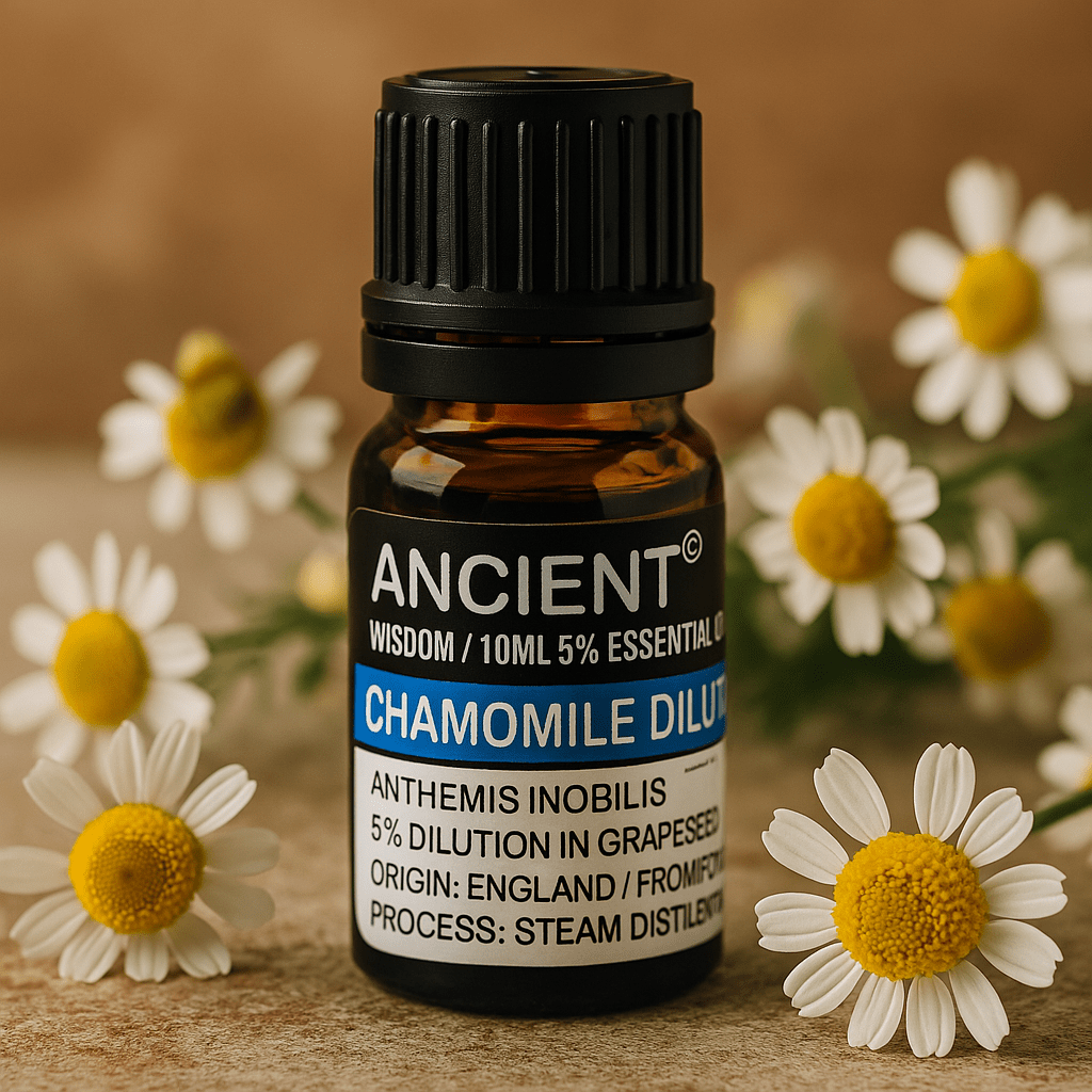 Roman Chamomile Essential Oil 5 Percent Dilution 10ml - SHAMTAM.COM