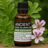 Rose Geranium Essential Oil Organic 50ml - SHAMTAM.COM