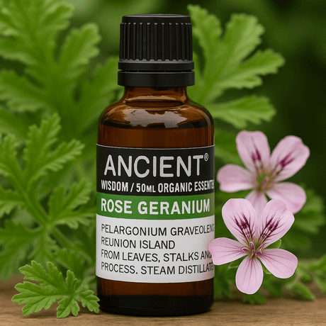 Rose Geranium Essential Oil Organic 50ml - SHAMTAM.COM