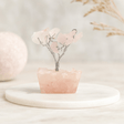 Rose Quartz Crystal Tree 15 Gemstones, Orgonite Base - SHAMTAM.COM