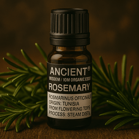 Rosemary Essential Oil Organic 10ml - SHAMTAM.COM