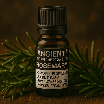 Rosemary Essential Oil Organic Steam Distilled 10ml