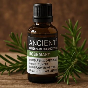 Rosemary Essential Oil Organic Steam Distilled 50ml