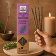 Rosemary Smudge Incense Sticks, 9 Count - SHAMTAM.COM